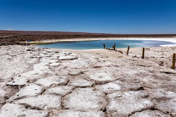 Lagunas Baltinache