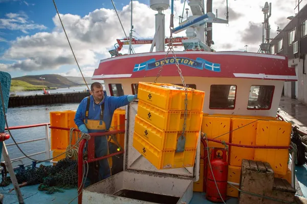 Landing at the fish market