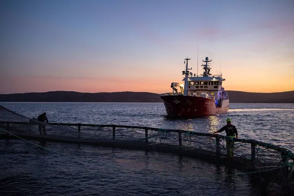 Well boat approaching a salmon cage