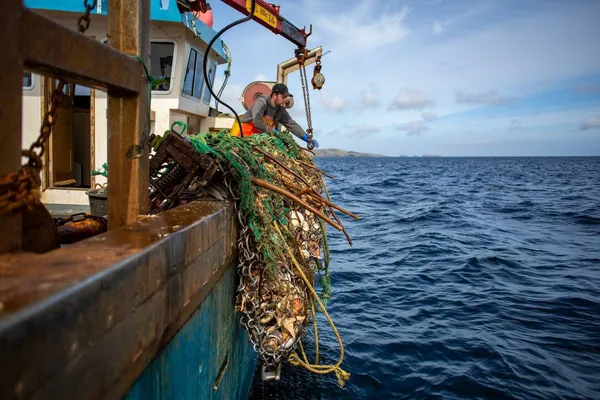 Scallop dredges alongside the boat