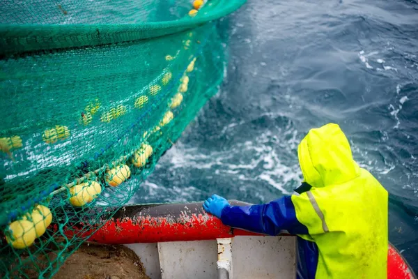 Hauling in the net